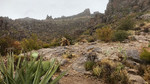 photo thumbnail #12