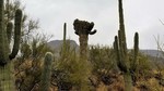 photo thumbnail #9