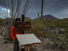photo thumbnail #5