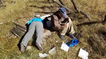 photo thumbnail #2