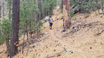 photo thumbnail #7