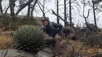 photo thumbnail #8