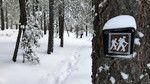 photo thumbnail #11
