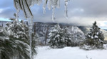 photo thumbnail #12