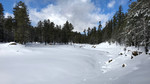 photo thumbnail #9