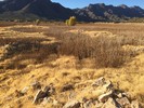 photo thumbnail #7