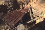 photo thumbnail #14