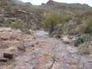 photo thumbnail #7