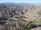 photo thumbnail #4