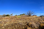 photo thumbnail #4