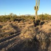 photo thumbnail #6