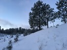 photo thumbnail #1
