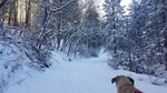 photo thumbnail #2