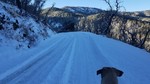 photo thumbnail #7