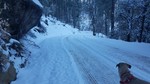 photo thumbnail #9
