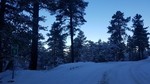 photo thumbnail #10
