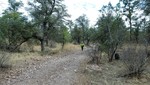 photo thumbnail #9