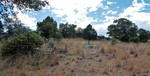 photo thumbnail #12