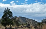 photo thumbnail #13