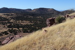 photo thumbnail #3