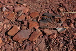 photo thumbnail #13
