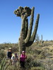 photo thumbnail #5
