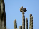 photo thumbnail #10