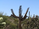 photo thumbnail #7