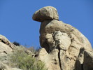 photo thumbnail #15