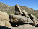 photo thumbnail #14