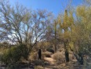 photo thumbnail #1