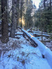 photo thumbnail #4