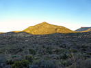 photo thumbnail #2