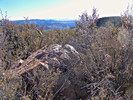 photo thumbnail #10
