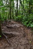 photo thumbnail #13