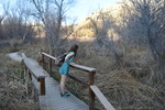 photo thumbnail #5