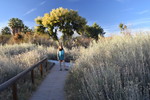 photo thumbnail #8