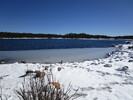 photo thumbnail #1