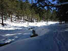 photo thumbnail #8