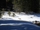 photo thumbnail #10