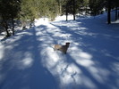 photo thumbnail #11