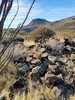 photo thumbnail #12