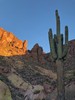 photo thumbnail #6