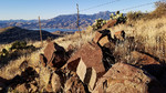 photo thumbnail #3