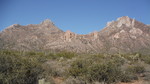 photo thumbnail #5
