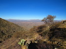 photo thumbnail #4