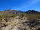 photo thumbnail #14