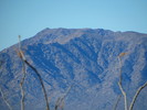 photo thumbnail #15
