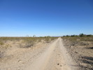 photo thumbnail #1