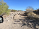 photo thumbnail #4